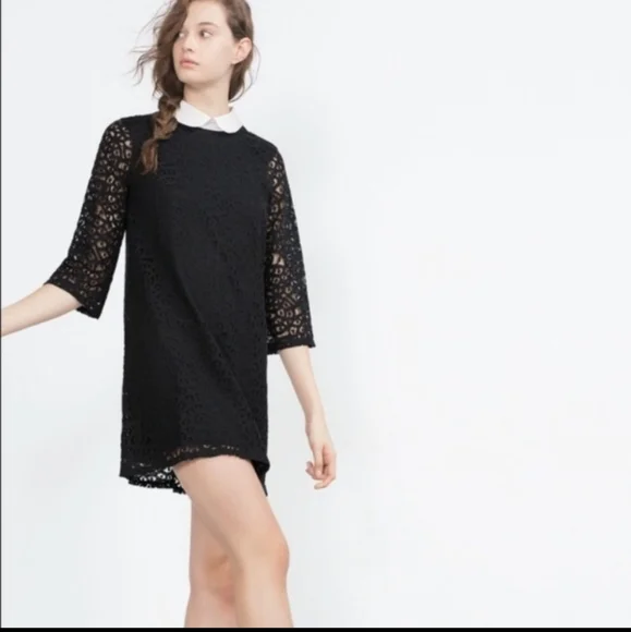 Zara lace shift dress with peterpan collar sz small